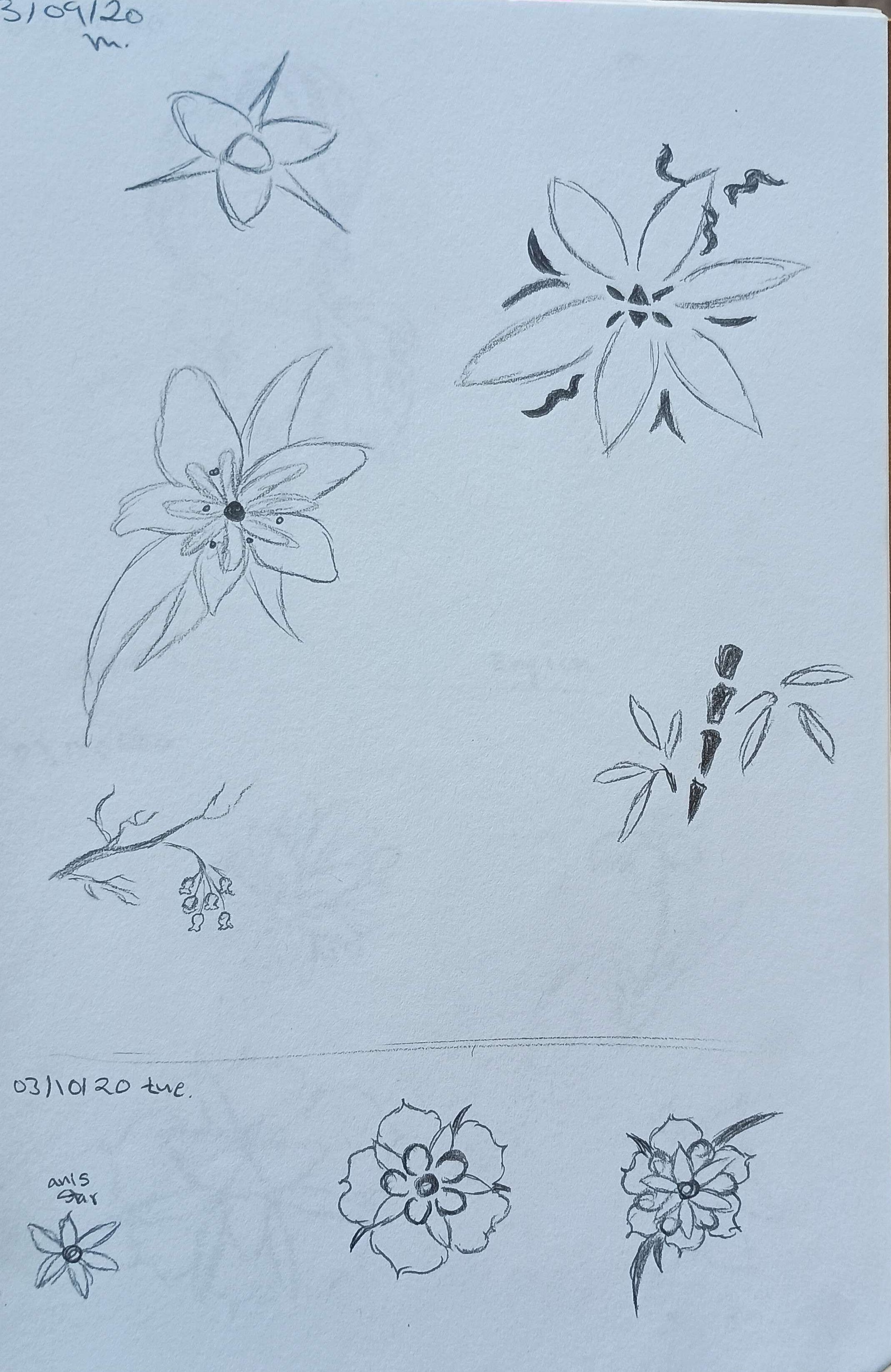 Flower Designs-Pencil